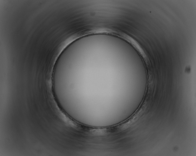 X0000101180810200807181446