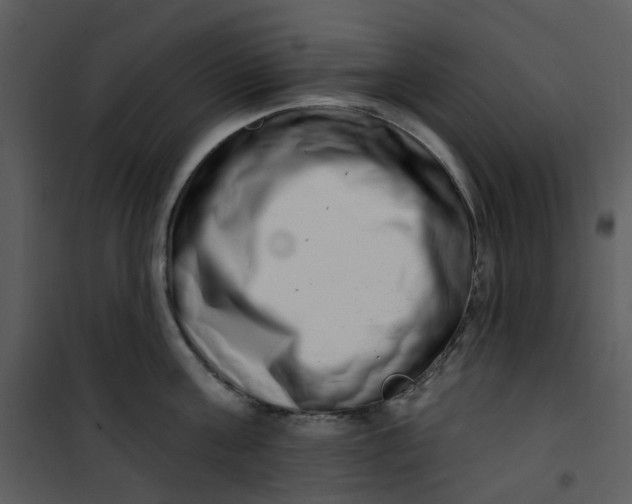 X0000101180811200807181446