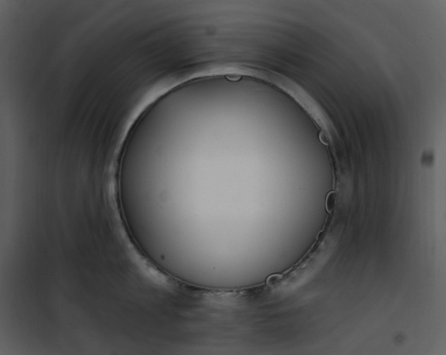 X0000101180813200807181446