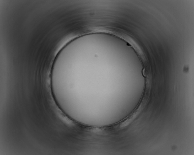 X0000101180814200807181446