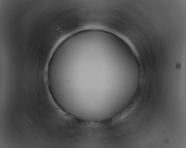 X0000101180815200807181446