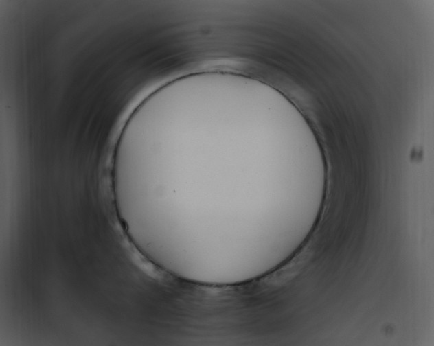 X0000101180816200807181446