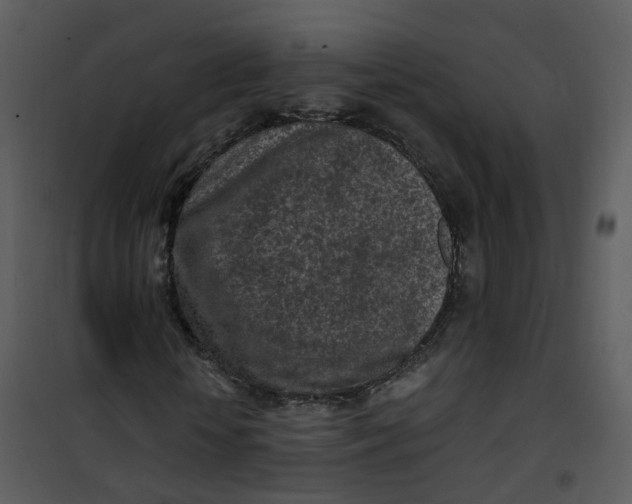 X0000101180818200807181445