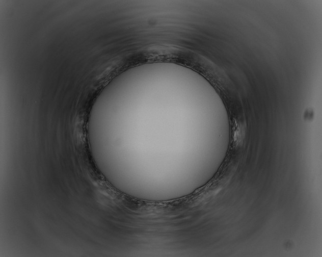 X0000101180819200807181445