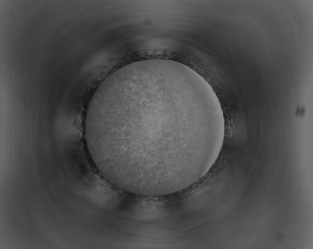 X0000101180820200807181445