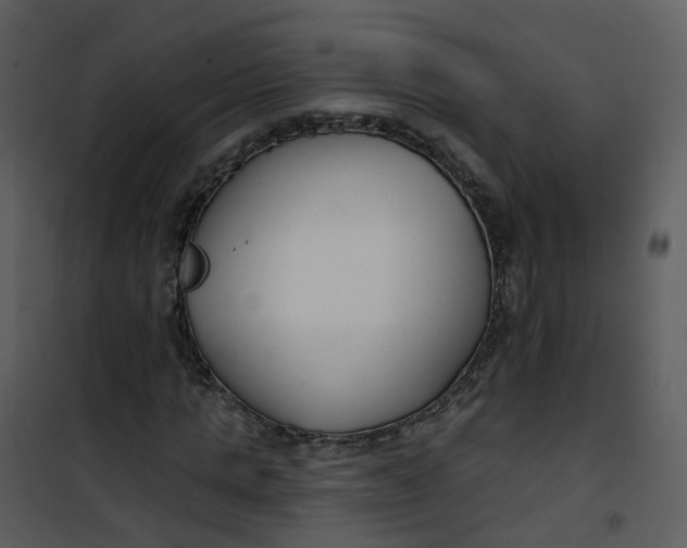 X0000101180821200807181445