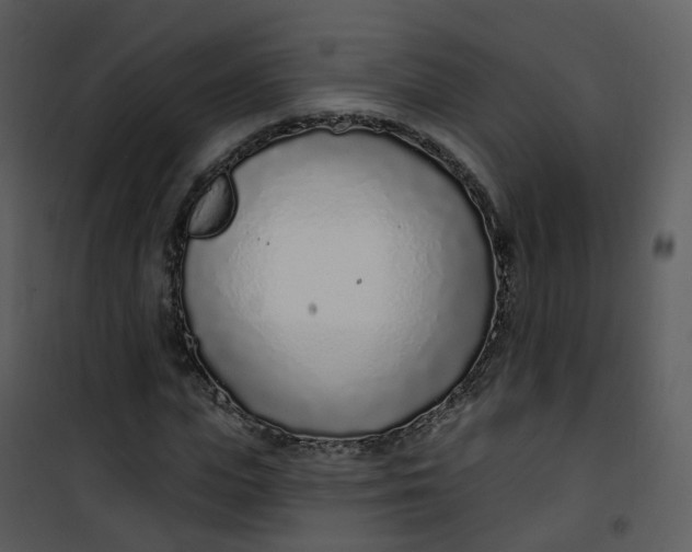 X0000101180823200807181445