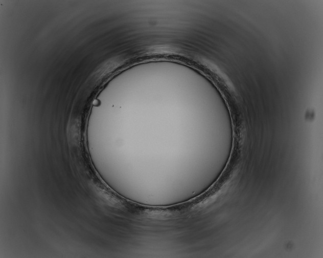 X0000101180825200807181445