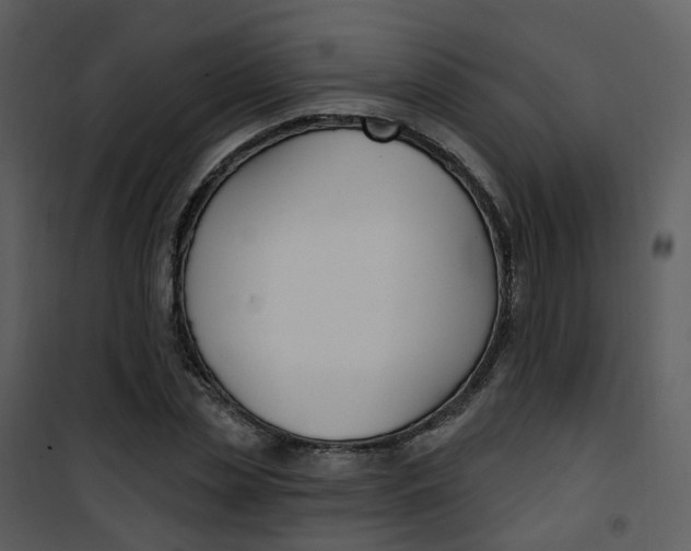 X0000101180829200807181445