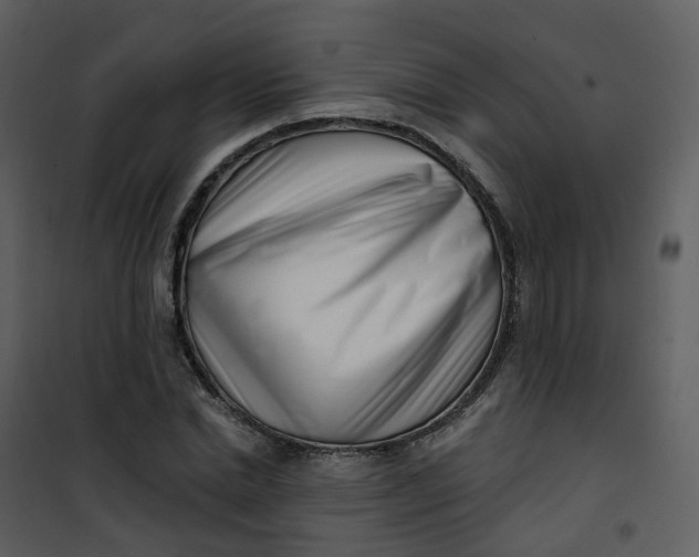 X0000101180830200807181445