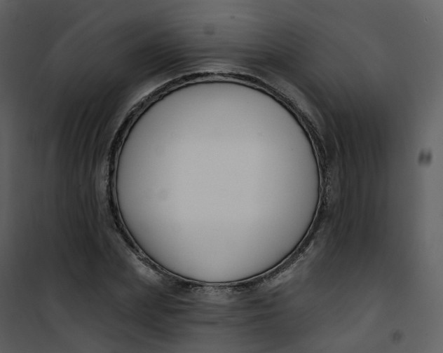 X0000101180831200807181445