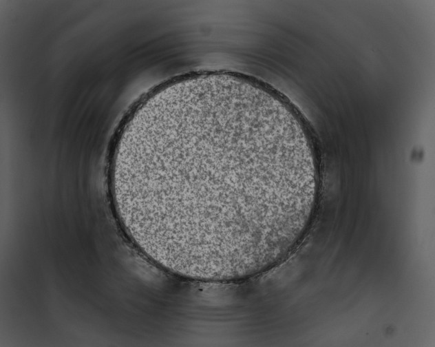 X0000101180832200807181445