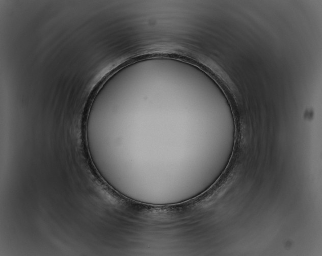 X0000101180834200807181446