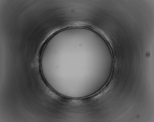 X0000101180835200807181446