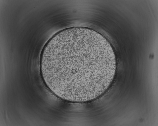 X0000101180836200807181446