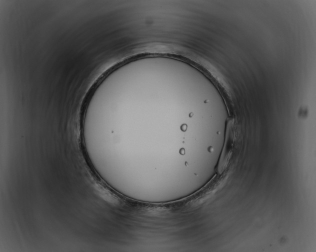 X0000101180837200807181446