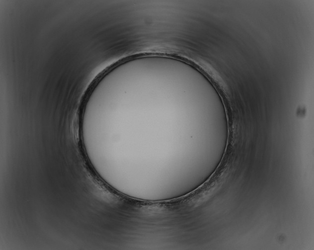 X0000101180838200807181446