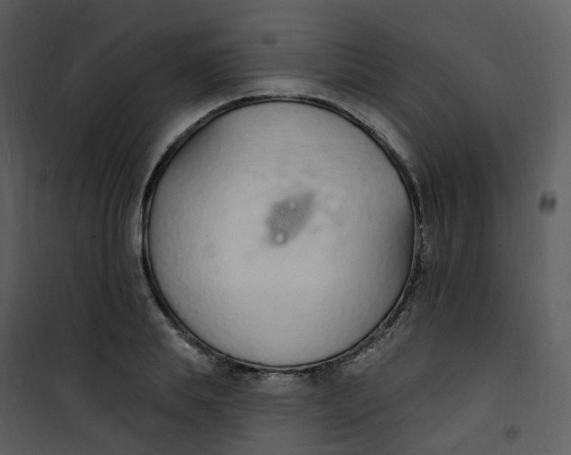 X0000101180839200807181446