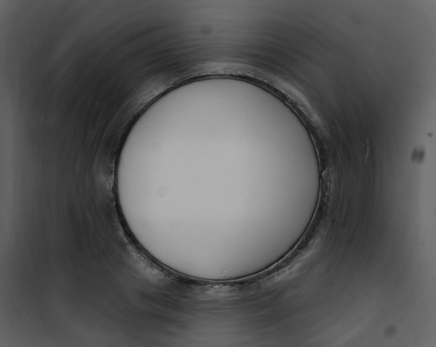 X0000101180841200807181446