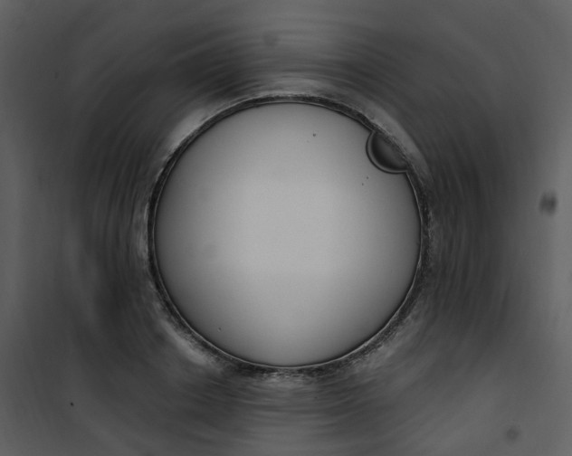 X0000101180842200807181446