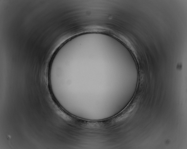 X0000101180843200807181446