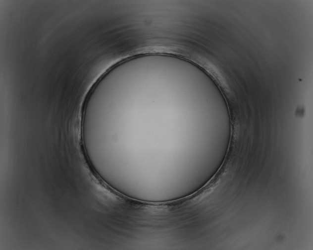 X0000101180844200807181446