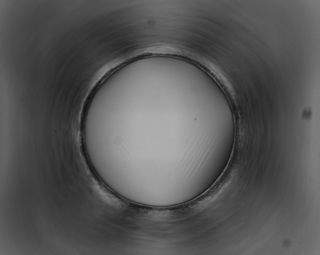 X0000101180845200807181446