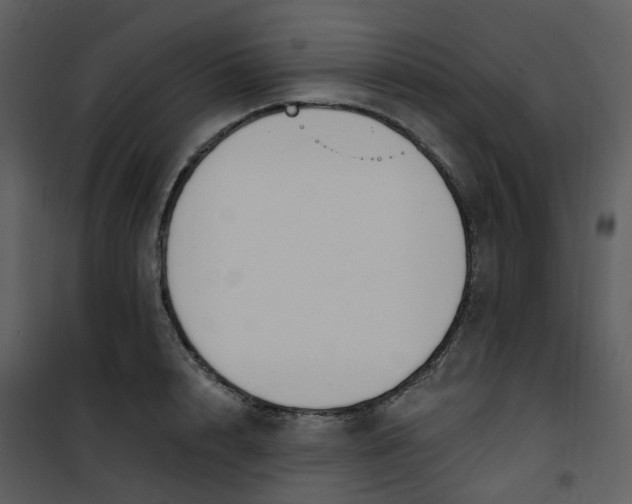 X0000101180848200807181446