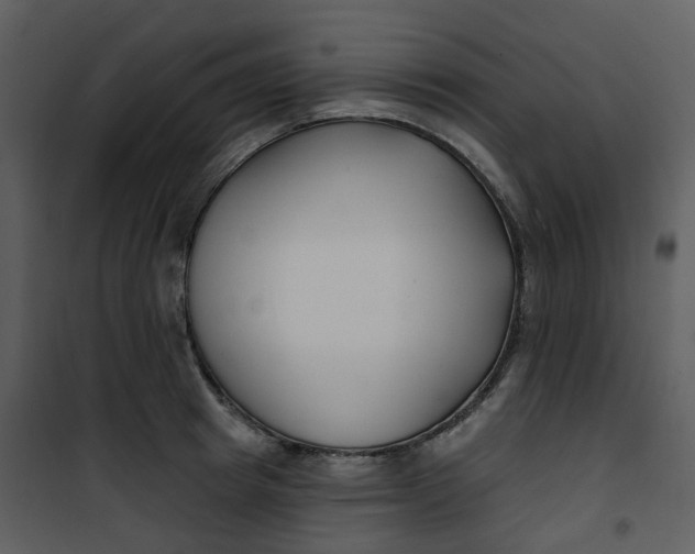 X0000101180849200807181446