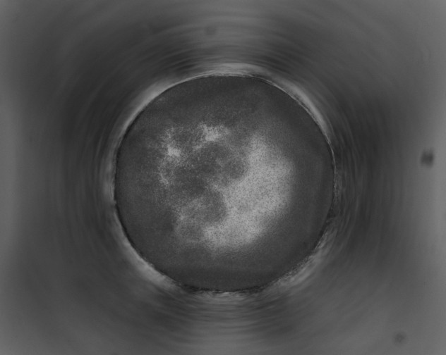 X0000101180851200807181446