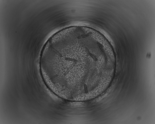 X0000101180853200807181446