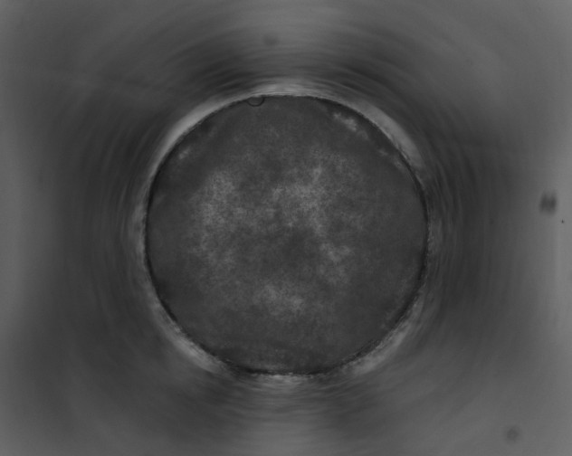 X0000101180854200807181446