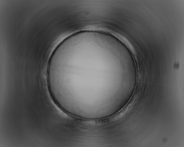 X0000101180855200807181446