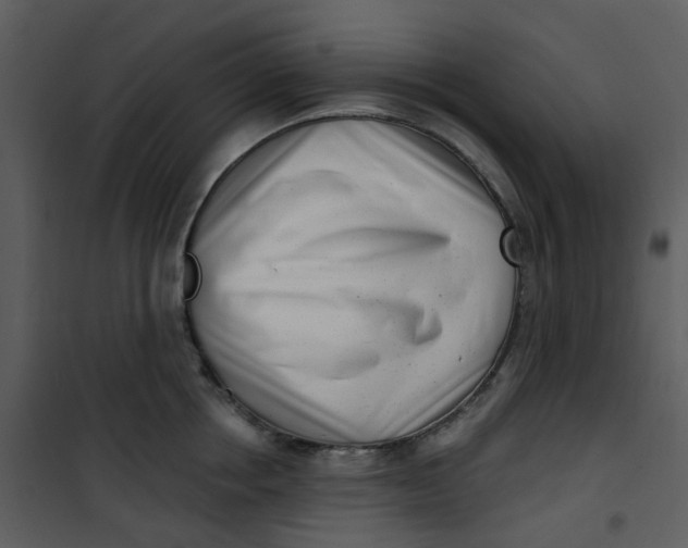 X0000101180858200807181446