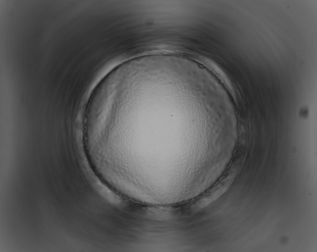 X0000101180859200807181446