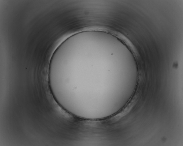 X0000101180860200807181446