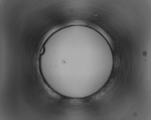 X0000101180861200807181446