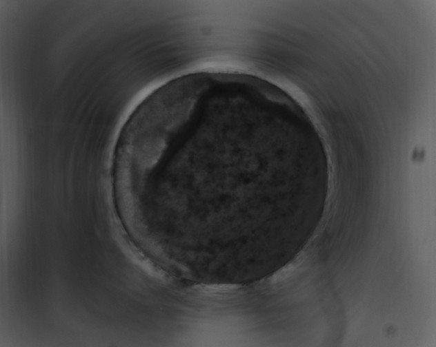 X0000101180864200807181446