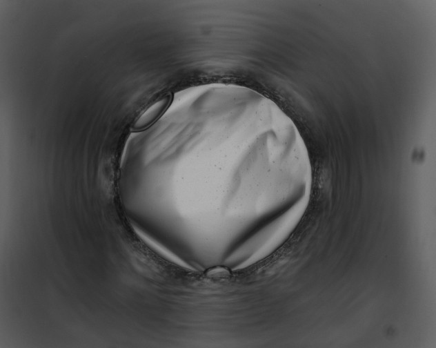 X0000101180868200807181445