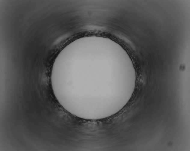 X0000101180869200807181445