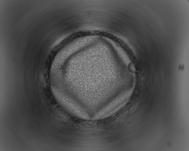 X0000101180871200807181445