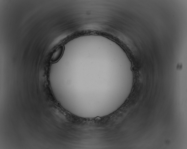 X0000101180872200807181445