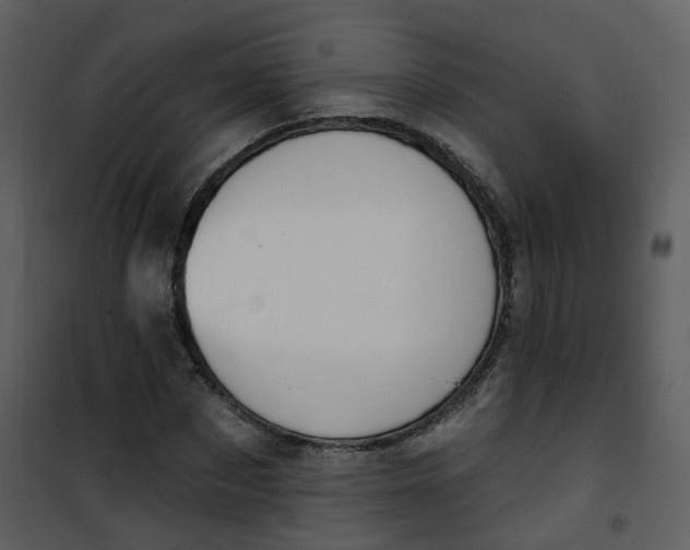 X0000101180873200807181445