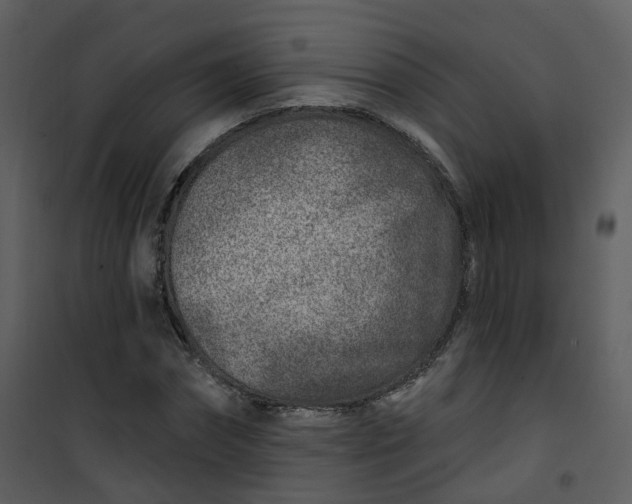 X0000101180874200807181445