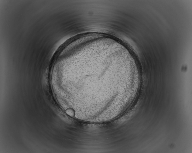 X0000101180875200807181445