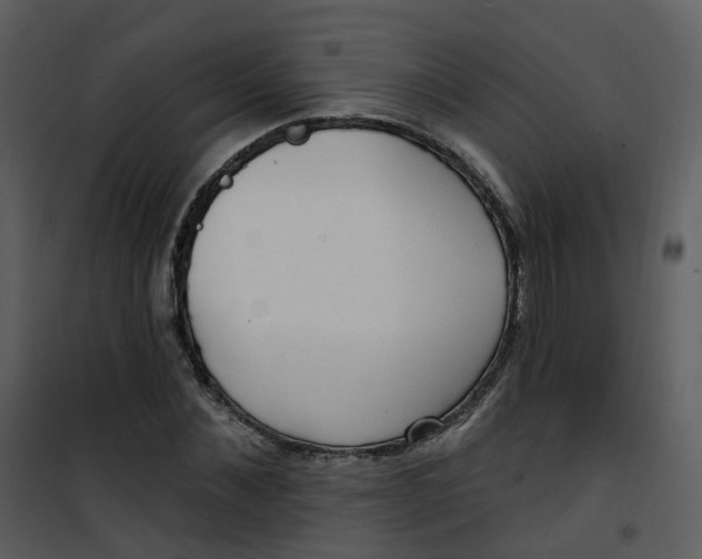 X0000101180876200807181445