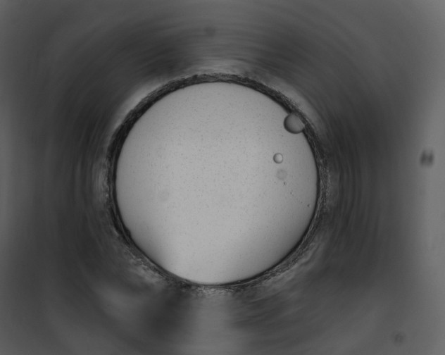 X0000101180878200807181445