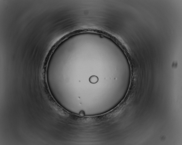 X0000101180879200807181445