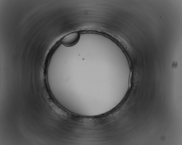 X0000101180880200807181445