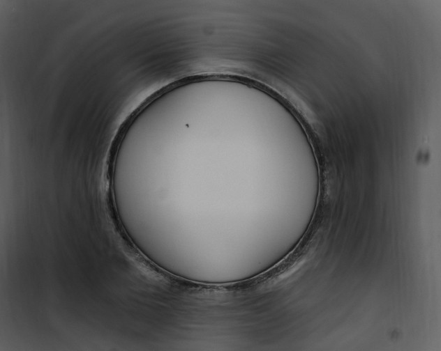 X0000101180885200807181445